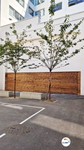Construction du Mur d'escalade extérieur Séquoia 100% bois à l'école primaire Soeur Marguerite à Clichy 92 par CLIMB IT