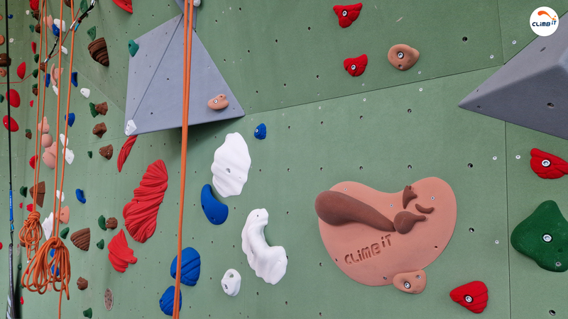 Construction mur d'escalade intérieur 150m2 en entreprise par CLIMB IT. Prise d'escalade CLIMB IT sienne et marron